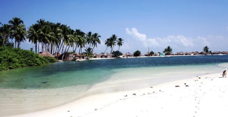 Banana Island