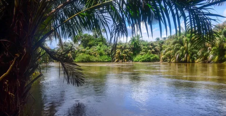 Tiwai Island