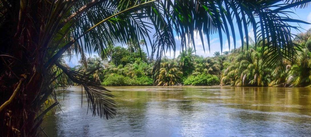 Tiwai Island